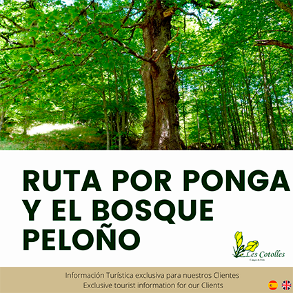 Ruta por Ponga y el Bosque de Peloño